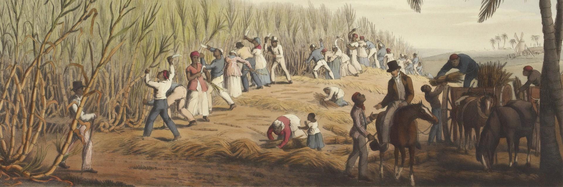 Slavernij, plantage, schilderij