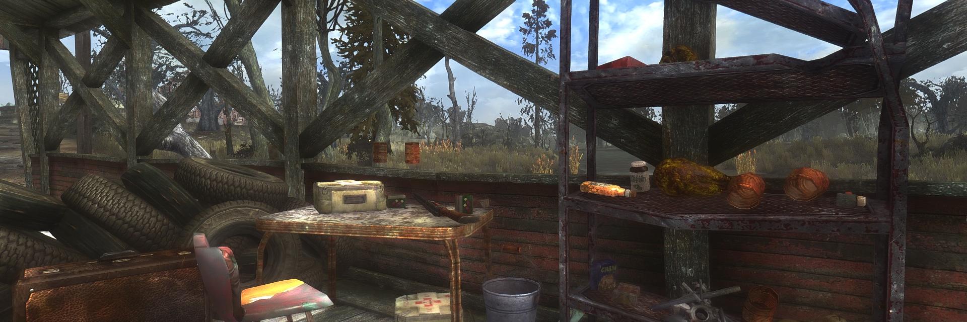 Scene from Fallout