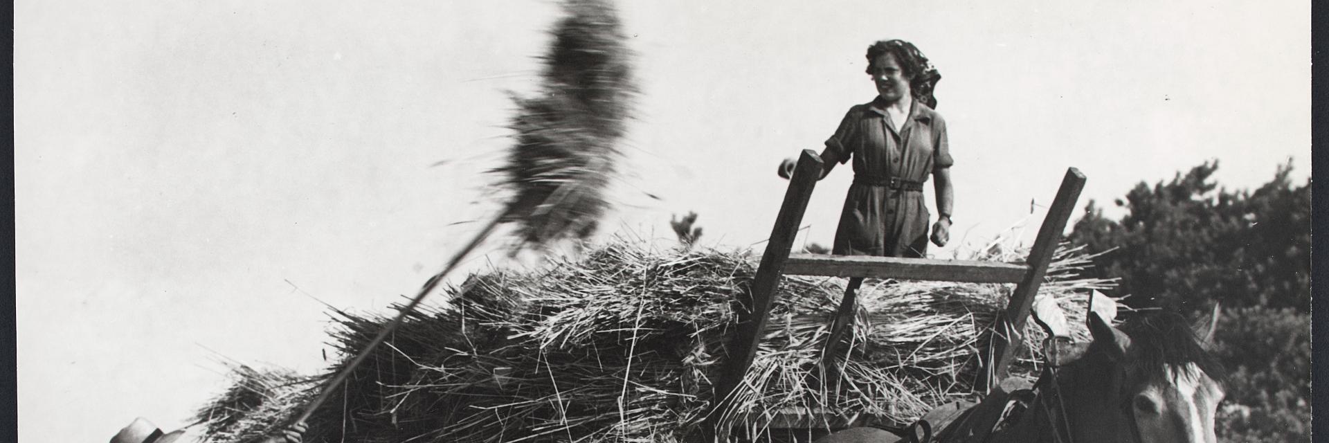 Boerin op een hoogkar © Gaston Remery | Brabant-Collectie, Tilburg University