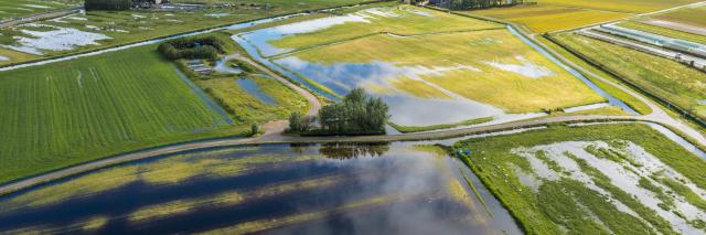 weilanden, wateroverlast, polder