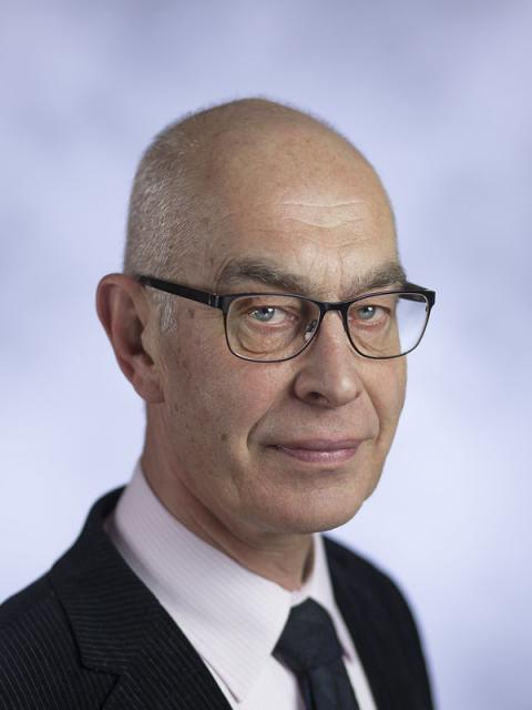 Prof. Henk Witte