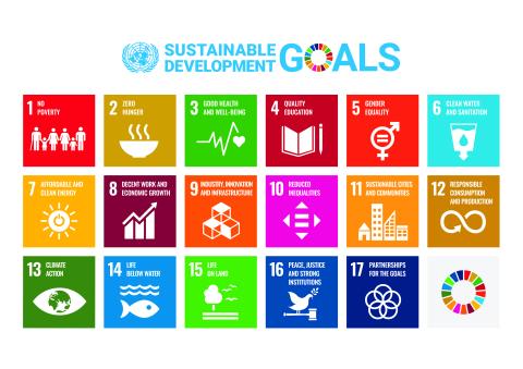 Sustainable development goals United Nations