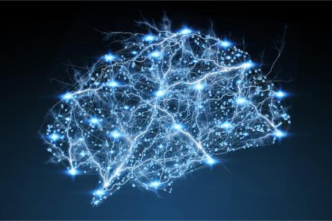 neural networks in brain
