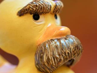 Yellow duck, Nietzsche, Philosophy
