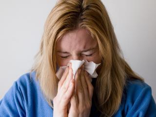 What to do if you fall ill?