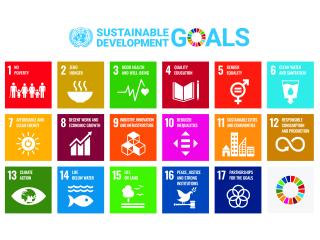 Sustainable development goals United Nations