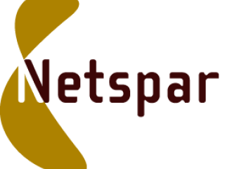 Netspar, Network for Studies on Pensions, Aging and Retirement 