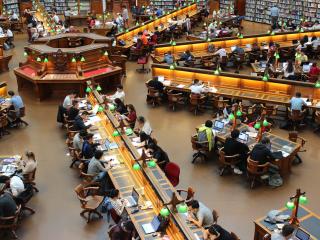 Many students study at the library