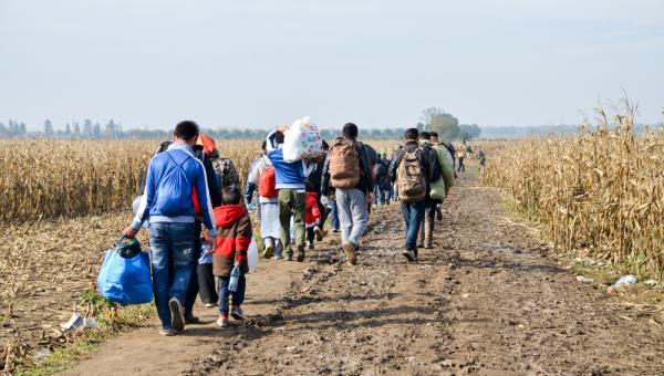 Mensenhandel en - smokkel aan EU-grenzen